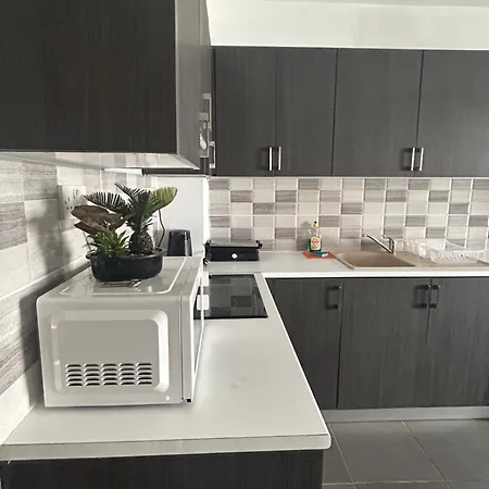 Tropical Paradise 200m From Finikoudes Apartament